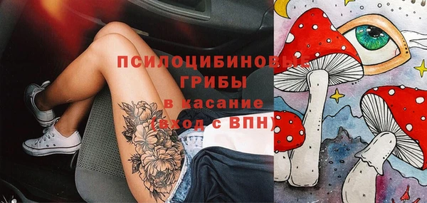 прущая мука Каменка