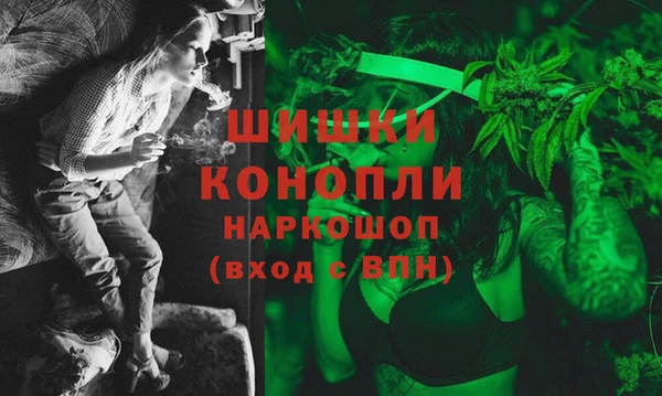 хмурый Каменногорск
