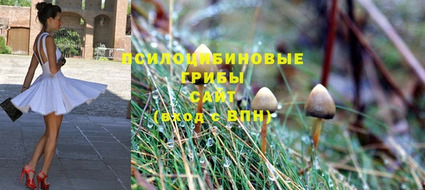 прущая мука Каменка
