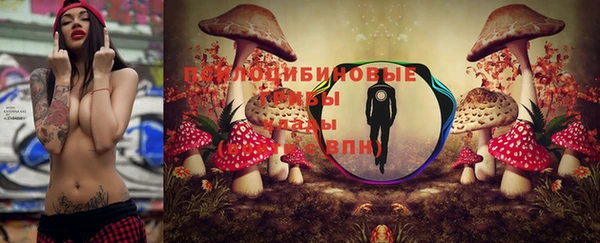хмурый Каменногорск