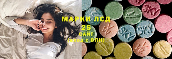 хмурый Каменногорск