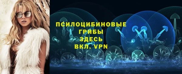 хмурый Каменногорск