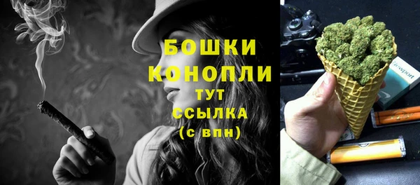 хмурый Каменногорск